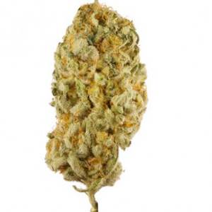 All Green Pharm All Green Pharm